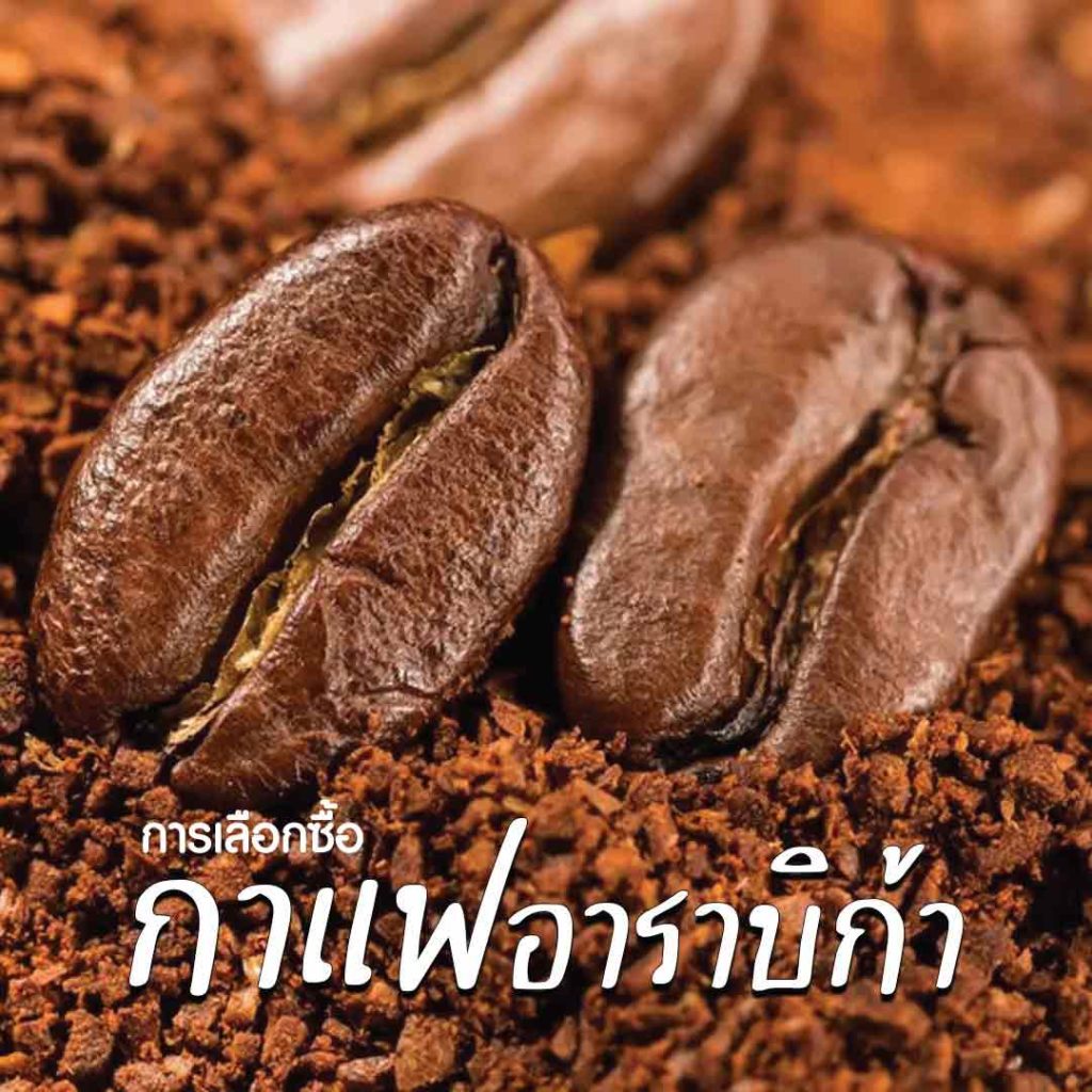 การเลือกซื้อกาแฟอาราบิก้า