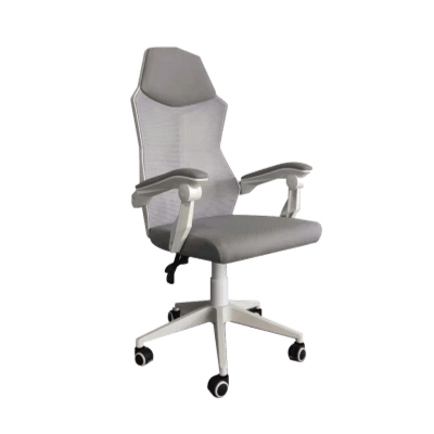 เก้าอี้ ergonomic Fennix