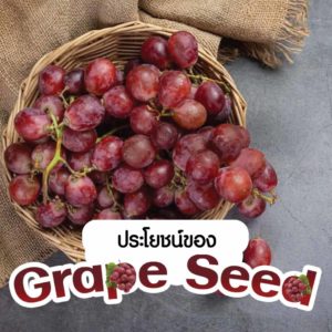 ประโยชน์ของ grape seed